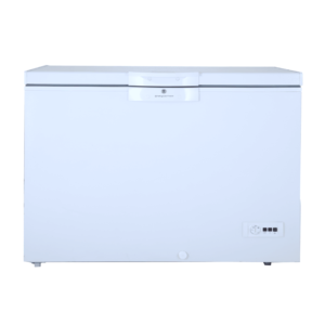 400 Inverter Single Door Freezer
